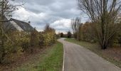 Tour Wandern Esvres - Esvres-sur-Indre - Veneuil Rouillers Hardellière - 24.5km 245m 5h20 (50mn) - 2024 11 23 - Photo 11