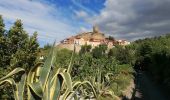 Tour Wandern Laroque-des-Albères - La Roque des Alberes, randonnée et botanique - Photo 1