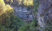 Excursión Senderismo Menétrux-en-Joux - Ménétrux-en-Joux - cascades Evantail et Hérisson - Saut de la Forge - La Fromagerie - Photo 20