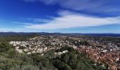 Excursión Senderismo La Crau - Chapelle du Fenouillet & Château de Hyères - Photo 4