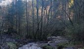 Tocht Stappen Waimes - Balade Peak Triple  - Photo 17