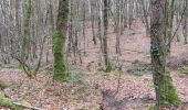 Trail Walking Camors - PR_56_Camors_BA_02_L-Eau_Circuit1b_20230218 - Photo 5