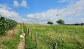 Trail Walking Gulpen-Wittem - Epen - Photo 4