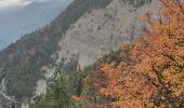 Tocht Stappen Beaumont-du-Ventoux - Mts Serein, Ventoux, tête de la Grave - Photo 13