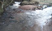 Percorso A piedi Fellen - Schwarzer Keiler, Rundwanderweg Fellen - Photo 1