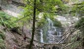 Excursión Senderismo Plateau-des-Petites-Roches - Cascade du Douix - Photo 4