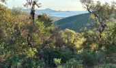 Excursión Senderismo Roquebrune-sur-Argens - Col du Bougnon : la Garonnette - Photo 1