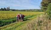 Randonnée Marche Courtomer - Boucle Courtomer - chaumes en Brie -  - Photo 5