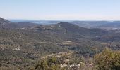 Tocht Stappen La Garde-Freinet - LA GARDE FREINET - PATRIMOINE DES MOULINS ET CHAPELLES - Photo 17