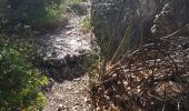 Trail Walking Buis-les-Baronnies - 26 roche sur buis - Photo 2