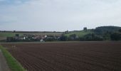 Randonnée A pied Wetterzeube - Geopfad Droyßiger Zeitzer Forst - Photo 3