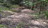 Trail Mountain bike Saint-Clément - sortie VTT du 01052019 vitrimont - Photo 4