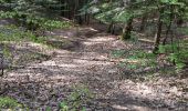 Tocht Mountainbike Saint-Clément - sortie VTT du 01052019 vitrimont - Photo 4