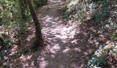 Trail Walking Hauteroche - RECULEE DE BAUME-LES-MESSIEURS  - Photo 12