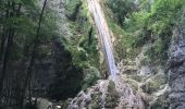 Randonnée Marche Cerdon - Cerdon  : La cascade de Fouges (18 km - D. 823 m)  - Photo 4