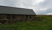 Tour Wandern Anglards-de-Salers - Chemin des estives - Photo 5