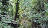 Tour Wandern Gisors - Gisors voie verte jusqu'à Beausséré - Photo 15