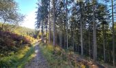 Percorso Marcia Stoumont - A la découverte du ruisseau du Roannay et le village de Moulin du Ruy - Photo 8