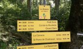 Excursión Senderismo Saint-Pierre-de-Chartreuse - Correrie_Col de la Ruchère_Petit Som_Col de l'Echaud_Pas du Loup - Photo 4