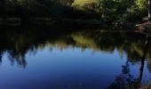 Trail Walking Saint-Mathieu - mardi matin - Photo 3