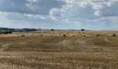 Randonnée Marche Wezembeek-Ophem - S-GR Groene Gordel: Tervuren - Kortenberg - Photo 14