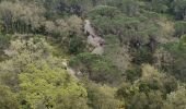 Randonnée Marche Villegailhenc - Villegailhenc Conques Aragon - Photo 14