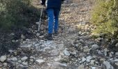 Tour Wandern La Roque-d'Anthéron - PF-La-Roque-d'Anthéron - La Chaîne des Côtes - Reco - Photo 11