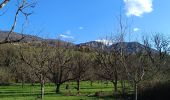 Excursión Bici de montaña Cognin-les-Gorges - Beaulieu  - Photo 4