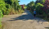 Excursión Senderismo Le Marigot - Boucle Pol Nord - Papin via Hbt Lagrange - Photo 16