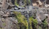 Tour Wandern Câmara de Lobos - Levada de Norte depuis le promontoire du Cabo Girao (Rother n°5)  - Photo 17