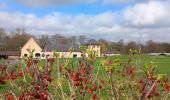 Tour Wandern Incourt - #240318 - Piétrebais, Sart-Biez, Petit et Grand Haquedeau*** - Photo 6