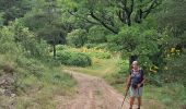 Tocht Stappen Signes -  vallon d,anis - Photo 2