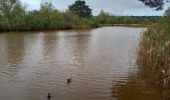 Randonnée Vélo de route Arcachon - Les 7 Ports de Gujan-Mestras 10.4.23 - Photo 15