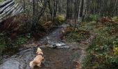 Tour Wandern Manhay - la chavée courte - Photo 3