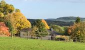 Excursión Senderismo Virton - La Charmouthienne_boucle_Ethe_15km_2019-10-13 - Photo 13