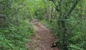 Trail Walking Giverny - Giverny Le lézard vert - Photo 12