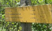 Tour Wandern Vernet-les-Bains -  Dolmen - Photo 8