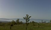 Randonnée A pied Passignano sul Trasimeno - Borgo Torale-Vernazzano-Cima Tuoro-Pischiello - Photo 6