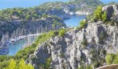 Percorso Marcia Cassis - XX-Cassis-Les Calanques-Miou-Pin-En Vau - Photo 8