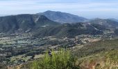 Trail Walking Appietto - Mont Gozzi en partant de la chapelle San Chirgu d'Appieto - Photo 13