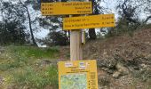 Tocht Stappen Pont de Montvert - Sud Mont Lozère - Bédoues saint jean du Gard GR70 gr43 - Photo 2