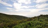 Trail On foot Ponta do Pargo - Vereda do Galhano - Photo 4