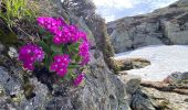 Trail Walking Revel - Lac du Crozet - Photo 7