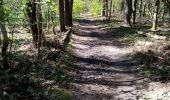 Tocht Noords wandelen Belœil - mielikki  - Photo 1