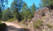 Randonnée Marche Prades - codalet . coll de Clara . abbaye St Michel de Cuxa . canal bohère - Photo 18