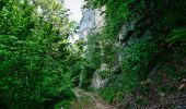 Tour Wandern Saint-Agnan-en-Vercors - Les Rancs de Charles - Vercors - La Coche - Photo 12