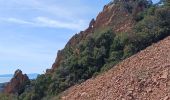 Tour Wandern Saint-Raphaël - Dent et Pic de l'Ours - Pic d'Aurelle depuis le Col Belle Barbe - Photo 15
