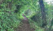 Trail Walking Cusy - Premier essai chavonnes - Photo 3