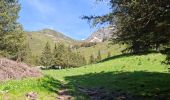 Trail Walking Les Adrets - LE GROS CAILLOU PAR LA COLONIE - Photo 16