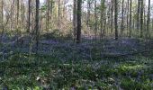 Tour Wandern Auderghem - Oudergem - Forêt par avenue de tervueren - Photo 2